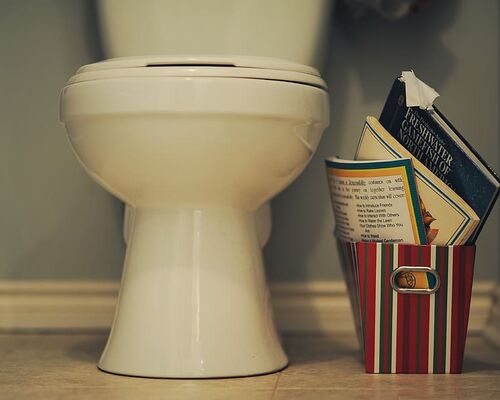 toilet-washroom-magazine-bathroom