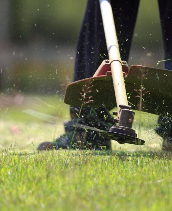 AdobeStock_81723473 (1)